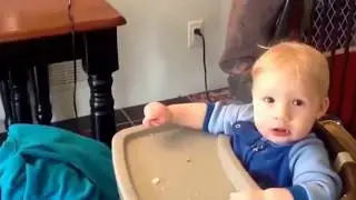 funny cat fails 2020 - try not to laugh😂 - #1