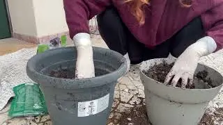 ASMR House Cleaning featuring white surgical latex gloves (part 2)