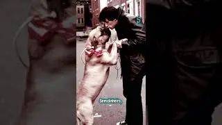 Como Sylvester Stallone Tornou Rocky Uma Franquia de Sucesso