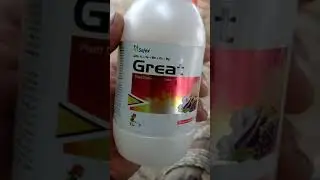 Gibberellic Acid PGR Tonic