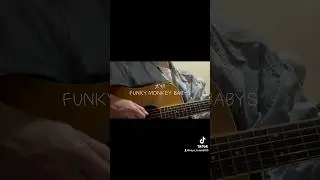 大切/FUNKY MONKEY BABYS cover #弾き語り #おすすめ #大切#FUNKY MONKEY BABYS#FUNKY MONKEY B&Lambda;BY'S
