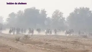 04 December 2025 Zila Toba donda choga bailgadi race ground agriculture university Toba Tek Singh 