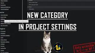 UE5 Tips & Tricks - Add A Custom Category in Project Settings