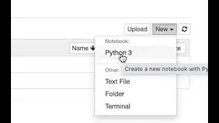 Day 2 Basic Data Types in Python, Comparison Operators and Functions