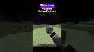 Hidden Features in Minecraft!🤫#minecraft #gaming #secret #fypシ゚viral #fyp #viral #fypage #easteregg