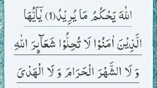 یٰۤاَیُّهَا الَّذِیْنَ اٰمَنُوْۤا اَوْفُوْا بِالْعُقُوْدِ۬ؕ-اُحِلَّتْ لَكُمْ @Wakeup2000-i8y