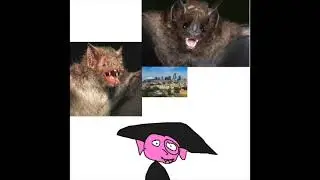 Bat Clues Thinking Time