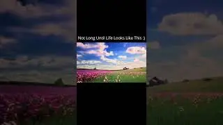 Calming countryside ambient sounds, stress relief and sleep :)