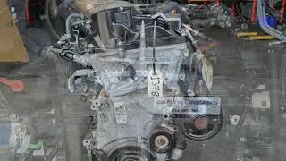 Honda L15B 1.5 Probleme und Schw&auml;chen