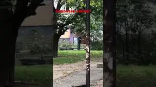 Николаев последние новости сегодня 27 05 2022