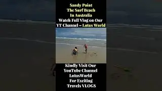 🌊 Sandy Point Surf Beach | Hidden Coastal Paradise | Australia #shorts #shortsvideo