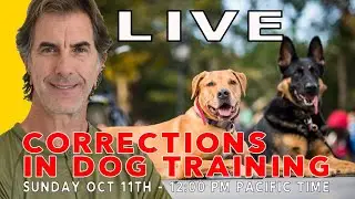 Corrections in Dog Training