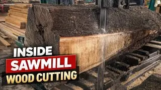 Amazing Inside Sawmill Wood Cutting Process 🪵| Heavy Machines Working 👌|