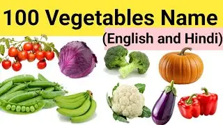 100 Vegetables Name in English and Hindi with Pictures || 100 सब्जियों के नाम | Vegetables for kids