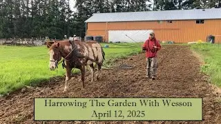 Harrowing The Garden With Wesson - April 2025