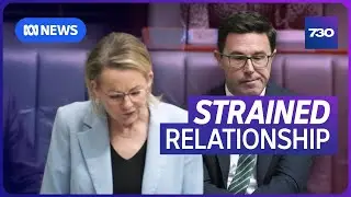 Can the Coalition reunite under the current leadership?  | 7.30