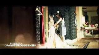 Wedding Highlights -- Trailer (after effects template)