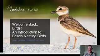 02/12/21 - Intro To Florida Beach Nesting Birds