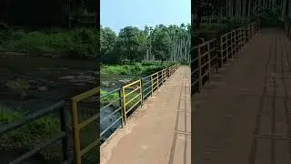 Kapila river #youtubeshorts #shorts #kapila #river #water #waterfall #travel #karanataka #india