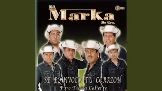 Veinte Mures De Negro