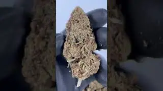 CBD AK47 - Cannabis Legale