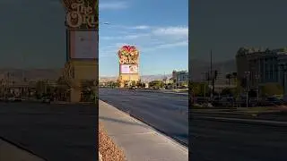 homicide in an off strip bar in Las Vegas this morning #lasvegas #lasvegastrip #police #vegaslocal