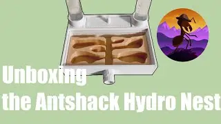 AntShack White Hydro Nest Unboxing