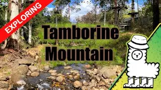 Exploring Tamborine Mountain
