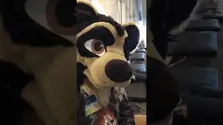 Interview with Tony Cannoli - Anthrocon 2018