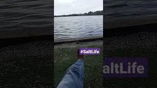 #saltlife #Swamplife #florida #lakelife