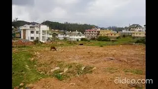 FINGER POST @ OOTY - 11 Cents Prime Residential Plot for sale 9347817389