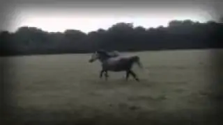 Me trying to catch my pony