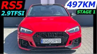 AUDI RS5 497 км 2.9 TFSI STAGE 1 GREGOR10 ChipTuning Poland Live Dyno TEST