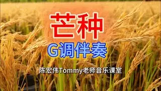 芒种 简谱 G调伴奏