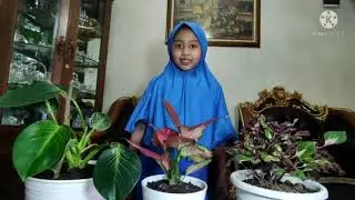 Oryza Sativa explain about Living Things and Non Living Things