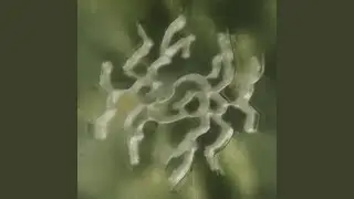 Diavoli Ordinati