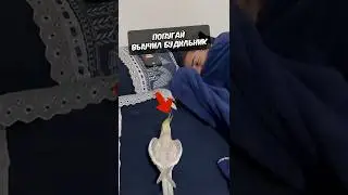 Хозяин Проклял Этого Попугая🤯😂