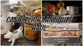Another great haul from Alabama #antique #vintage