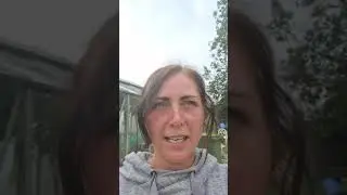 Allotment tour June 2020