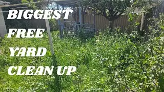 Should have seen the look on his face Part3 #backyard #yardcleanup #freemowing #egotools