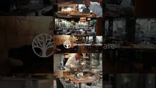 Cuts from Giardino Mare Lozenets #frames #video #broll #slowmotion #cinematic #2023