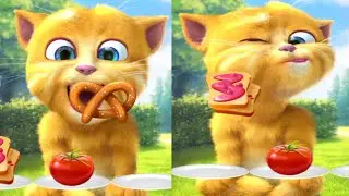  🛕🧠 Ginger Thinks Before Acting and Finds a Better Way 🪜🪶