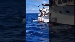 Global Sumud Flotilla latest news