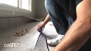 Is Pattern Carpet In Style AVOID THIS SCARY TREND
