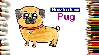 How to Draw Pug | Dog drawing | Very Easy