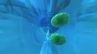 Mikrofluids - Scientific animations