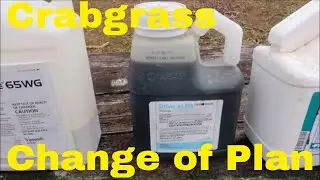 Crabgrass Control Strategy Has Changed - New Plan to Kill Crabgrass