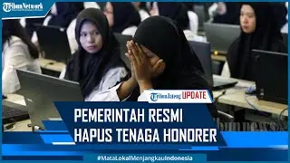 Pemerintah Resmi Hapus Tenaga Honorer 2023