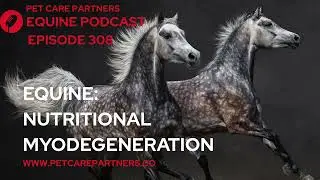 EP 308: Neonatal Myodegeneration in Foals | Causes, Diagnosis & Prevention Explained