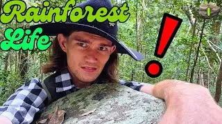Можно ли спрятать брезентовую палатку на ОБЩЕСТВЕННОЙ тропе на ОДИН ГОД? (1)